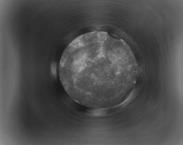 X0000100470094200807111050