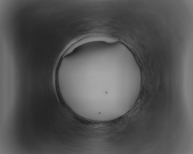 X0000100470100200807111049