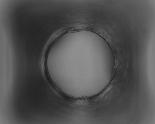 X0000100470101200807111049