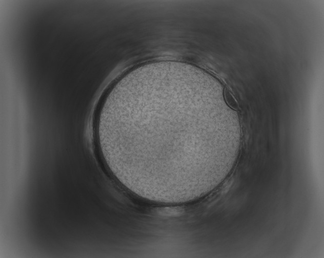 X0000100470102200807111049