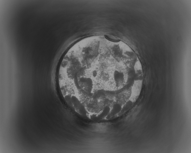 X0000100470103200807111049