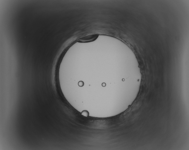 X0000100470104200807111049