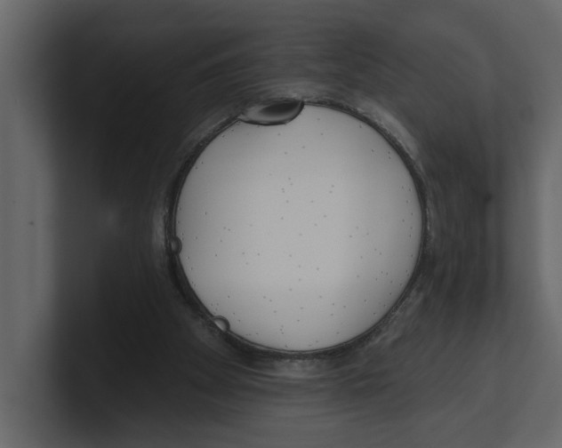 X0000100470105200807111049