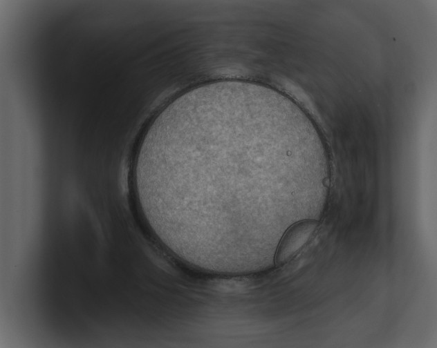 X0000100470106200807111049