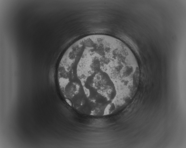 X0000100470107200807111049