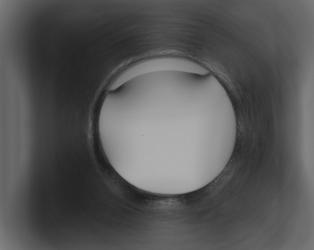 X0000100470112200807111049