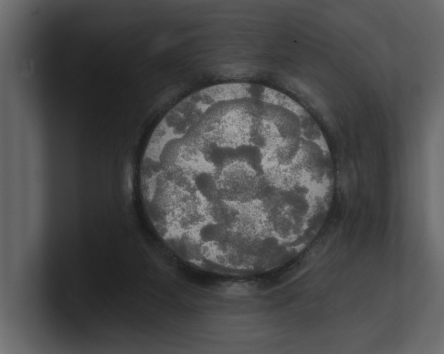 X0000100470115200807111049