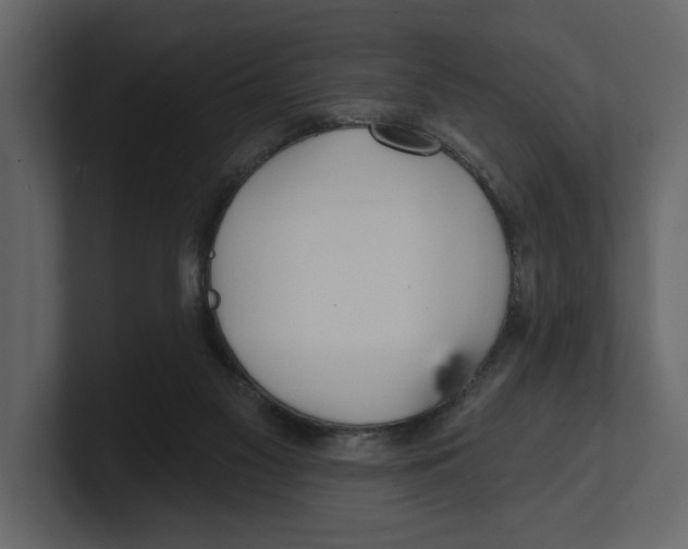 X0000100470117200807111049