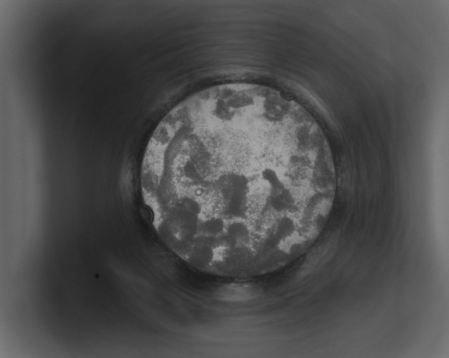 X0000100470119200807111049