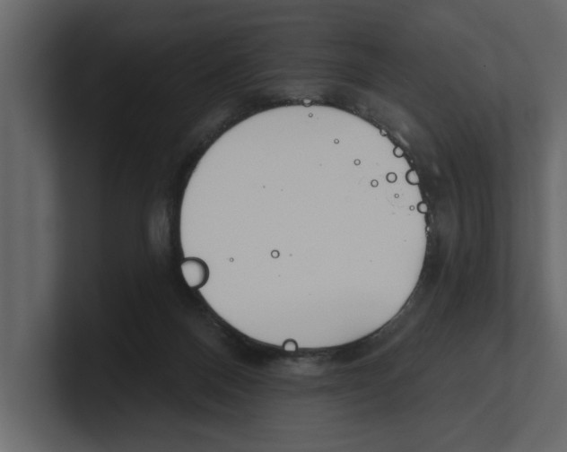 X0000100470120200807111049