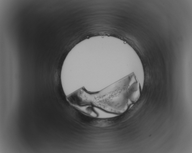 X0000100470121200807111049