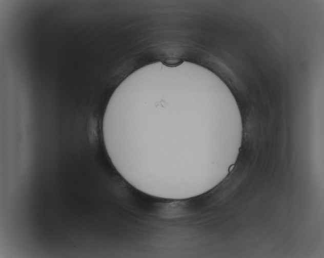 X0000100470122200807111049