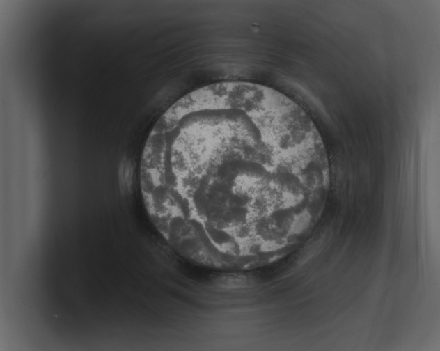 X0000100470123200807111049