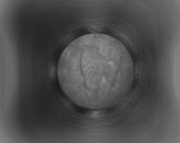 X0000100470130200807111049