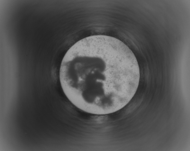 X0000100470135200807111048