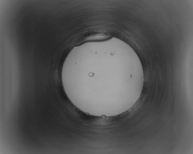 X0000100470136200807111048