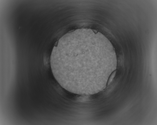 X0000100470138200807111048