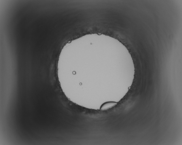 X0000100470144200807111048