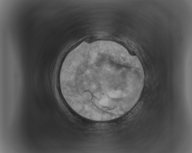 X0000100470145200807111048