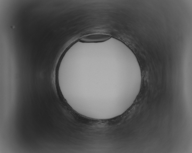 X0000100470148200807111048