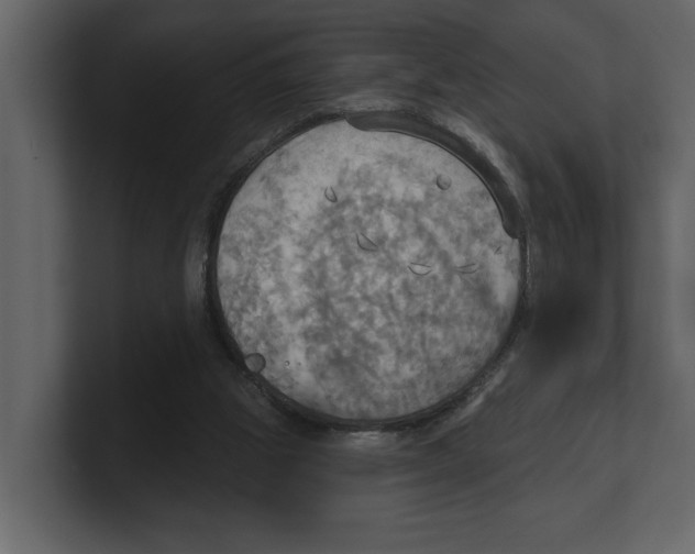 X0000100470153200807111048