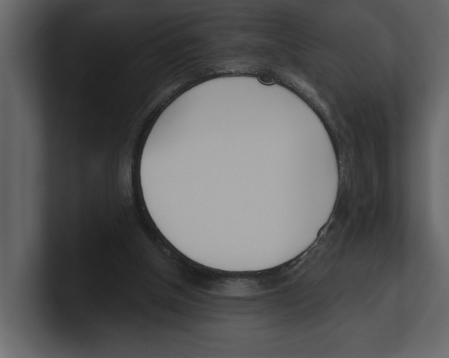 X0000100470154200807111048