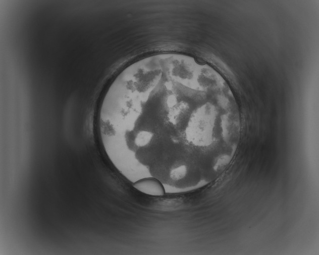 X0000100470155200807111048