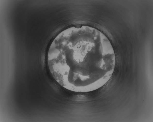 X0000100470159200807111048