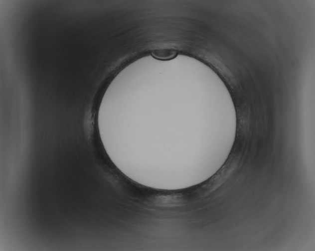 X0000100470160200807111048