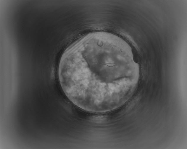 X0000100470161200807111048