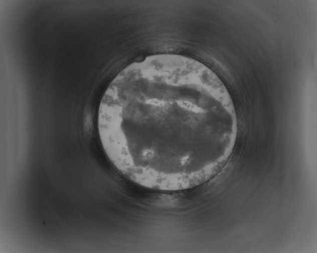 X0000100470166200807111048