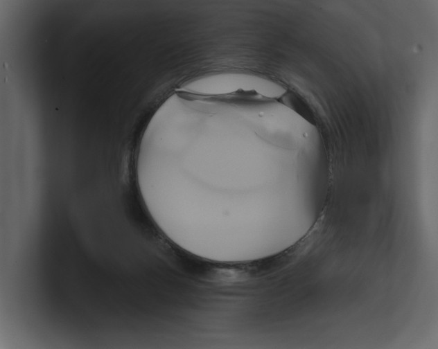 X0000100470167200807111048