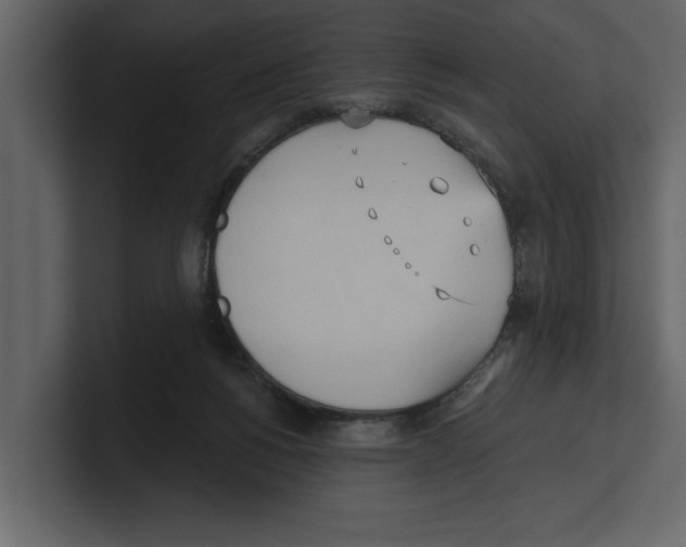 X0000100470168200807111048