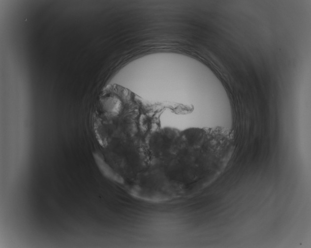 X0000100470169200807111048