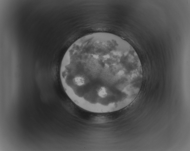 X0000100470171200807111048