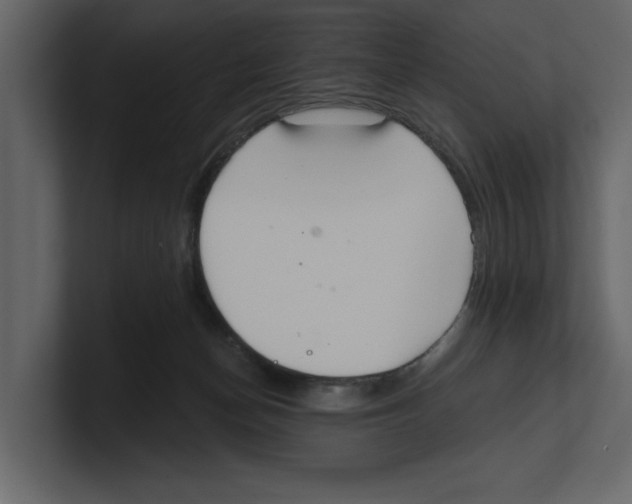 X0000100470174200807111048