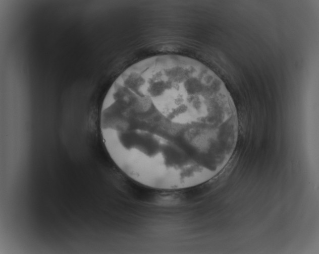 X0000100470175200807111048