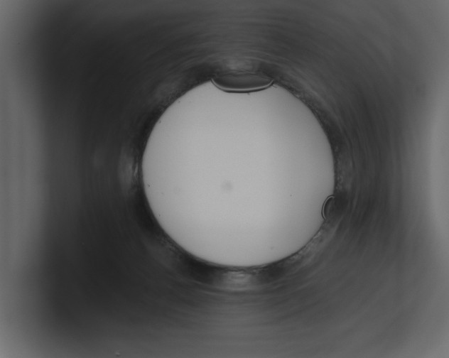 X0000100470176200807111048