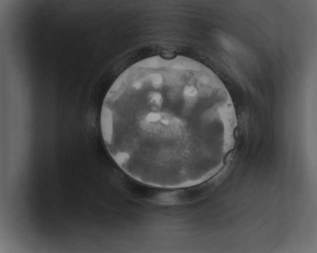 X0000100470178200807111048