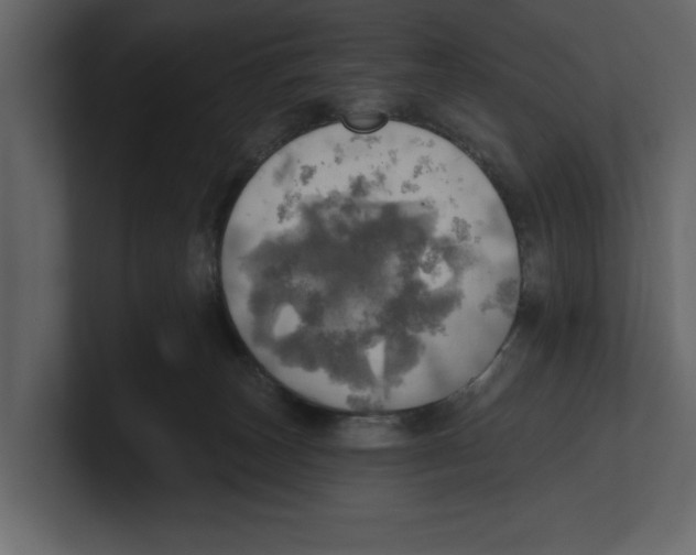 X0000100470179200807111048