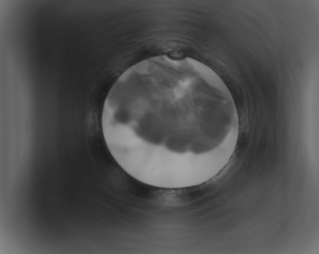 X0000100470182200807111048