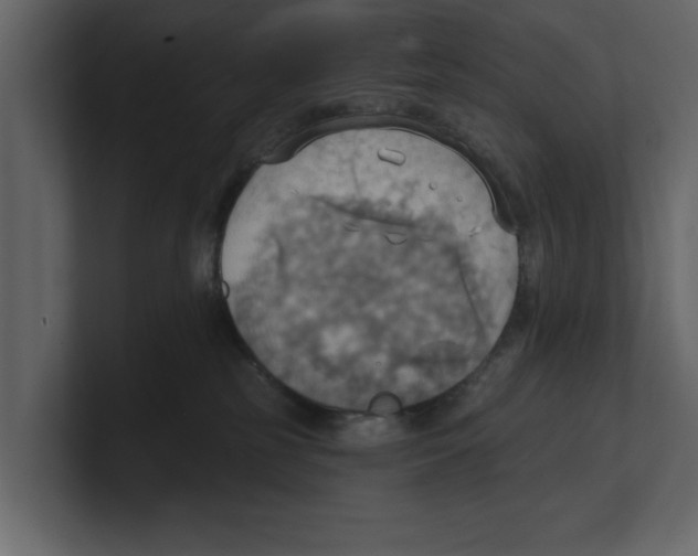 X0000100470185200807111048