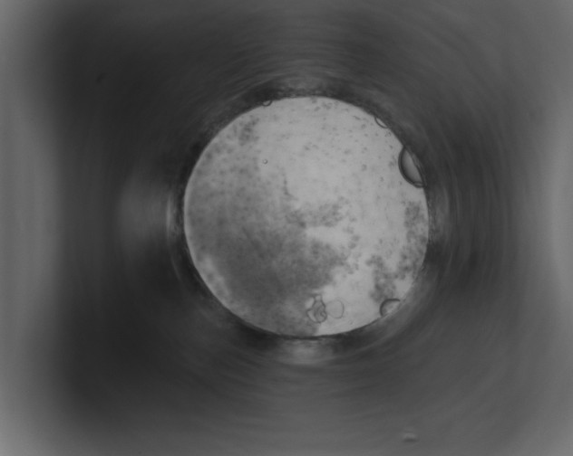 X0000100470187200807111048