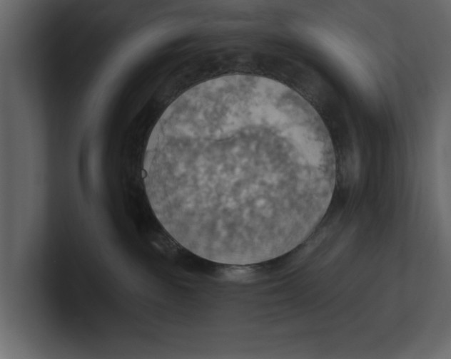 X0000100470189200807111048