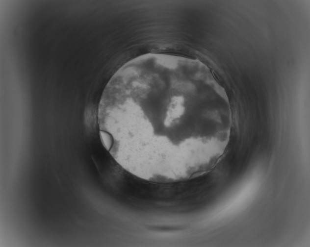 X0000100470191200807111048