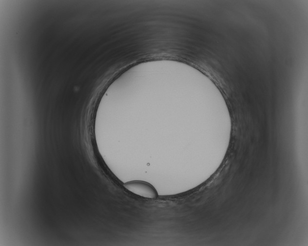 X0000100470193200807111048