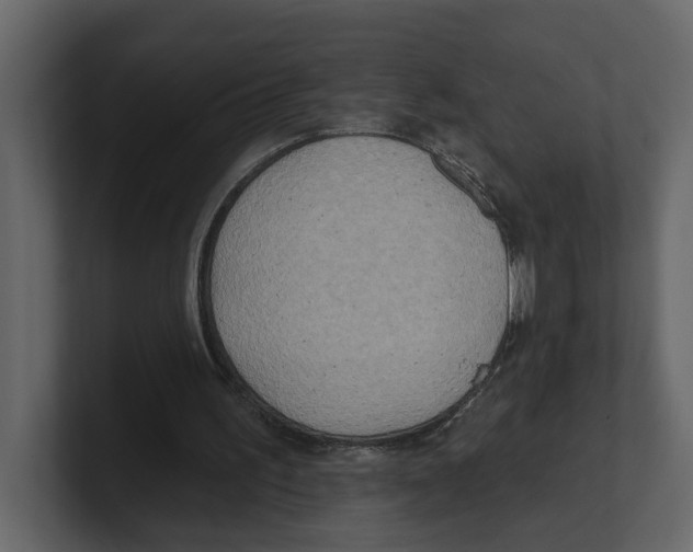 X0000100470195200807111048