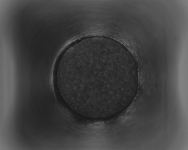 X0000100470196200807111048