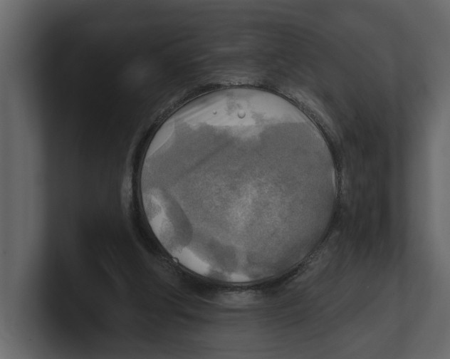 X0000100470202200807111048