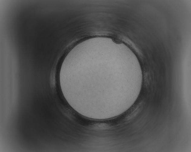 X0000100470203200807111048